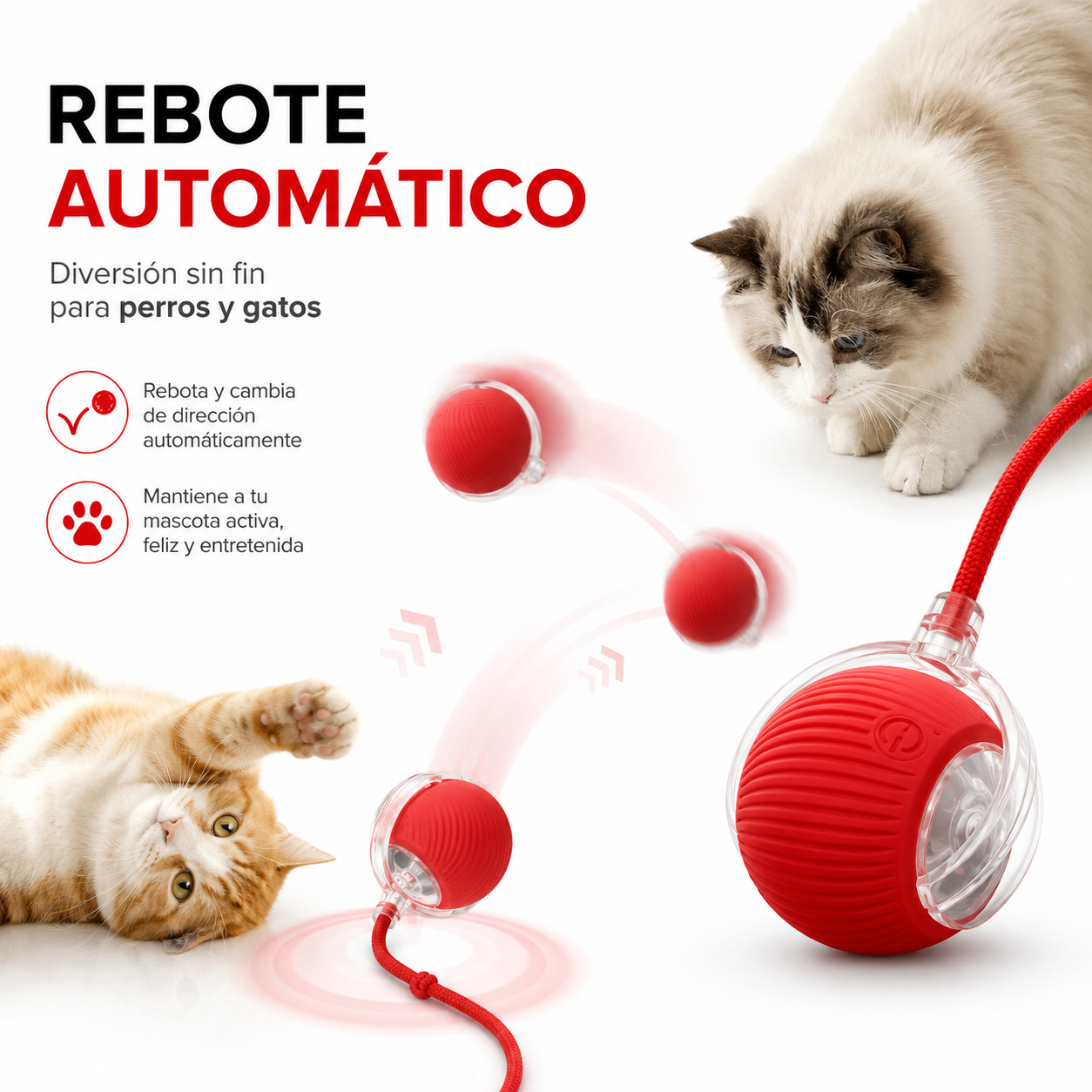 Pelota Para Mascota Interactiva